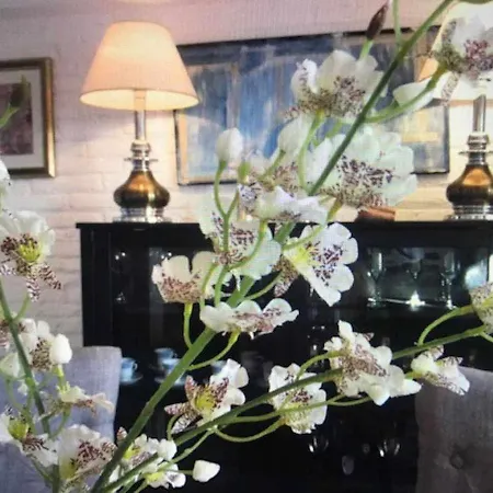Luxury Old Town Cervantes Paz En El Casco Antiguo Apartment *